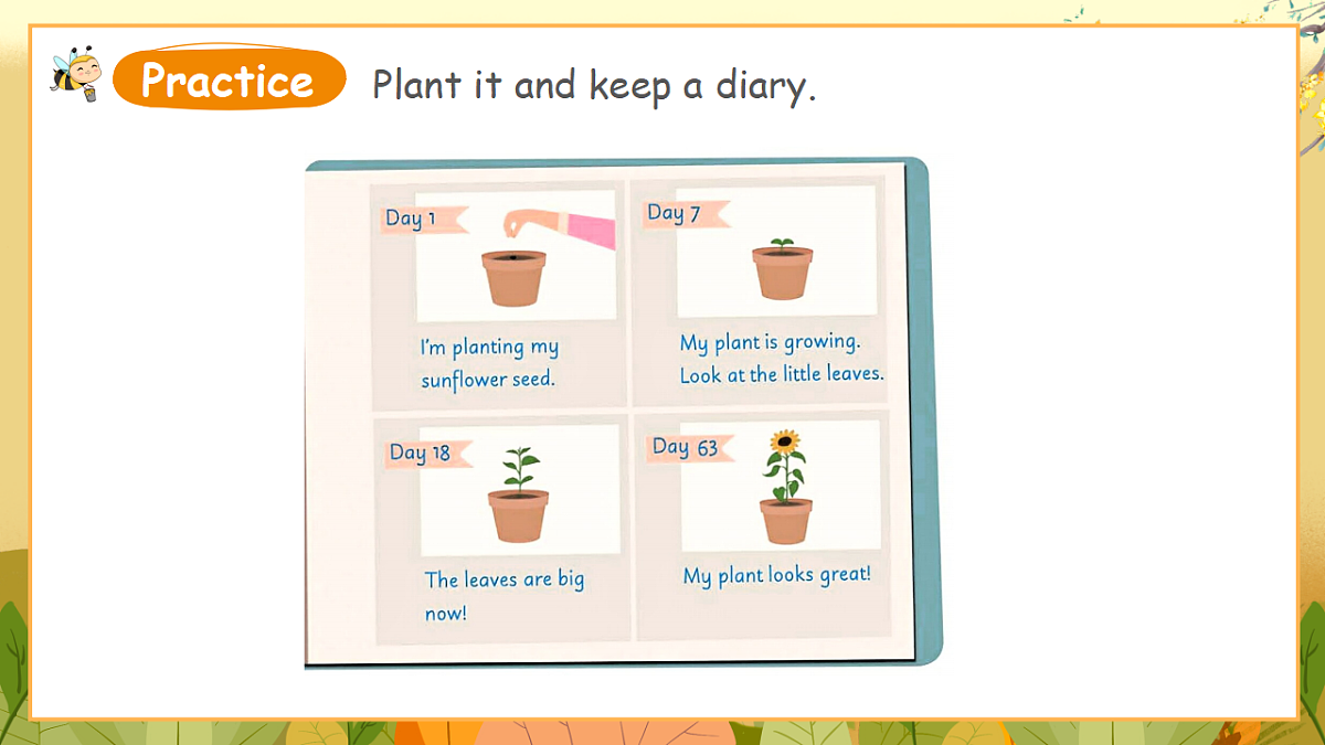 外研版（三起）英语四下 U4《Plant life》第5课时 Hit it big&Wrap up&Let's explore 课件第7页