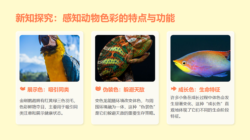 人教版（2026）二年级下册美术第二单元第3课《斑斓的色彩》课件第5页