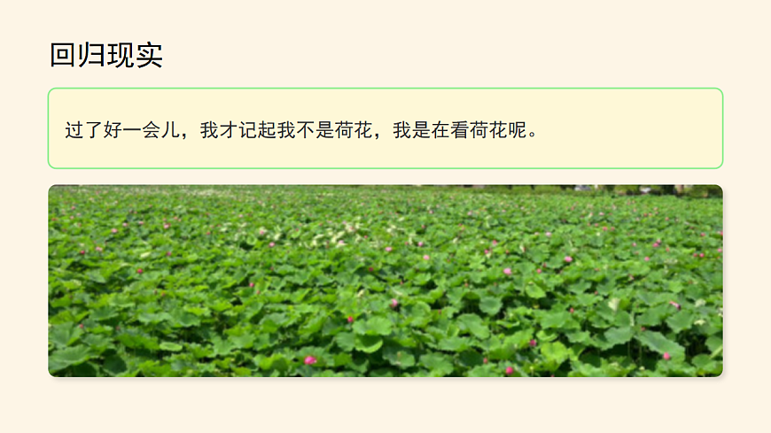 《荷花》（第2课时）（含课后习题）第7页
