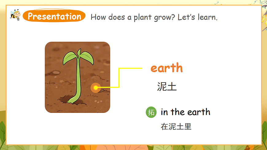 外研版（三起）英语四下 U4《Plant life》第1课时 Get ready 课件第6页