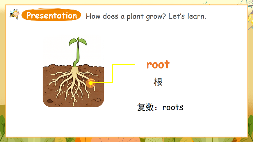 外研版（三起）英语四下 U4《Plant life》第1课时 Get ready 课件第7页