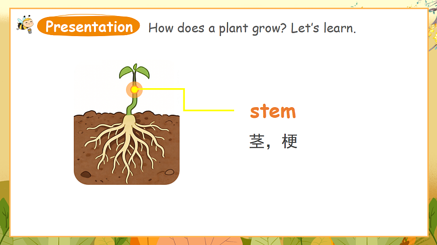 外研版（三起）英语四下 U4《Plant life》第1课时 Get ready 课件第8页