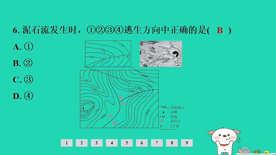 17924837第8页