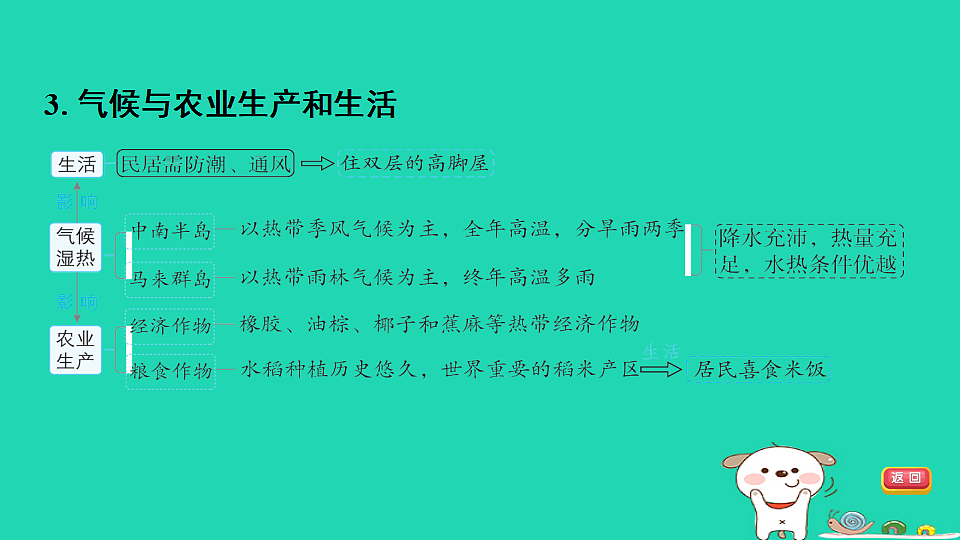 17924851第7页