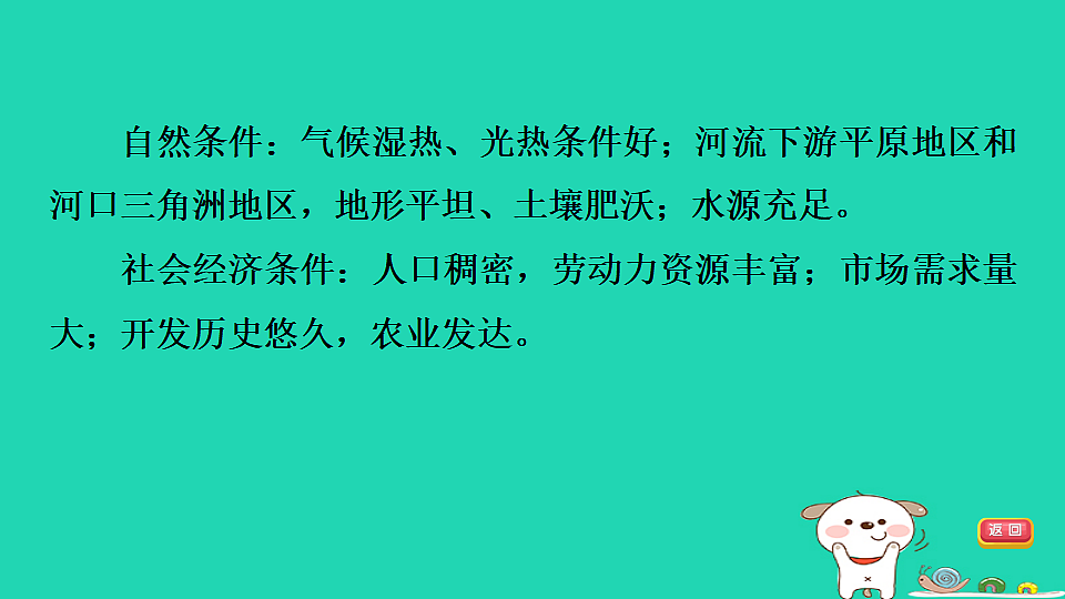 17924851第8页