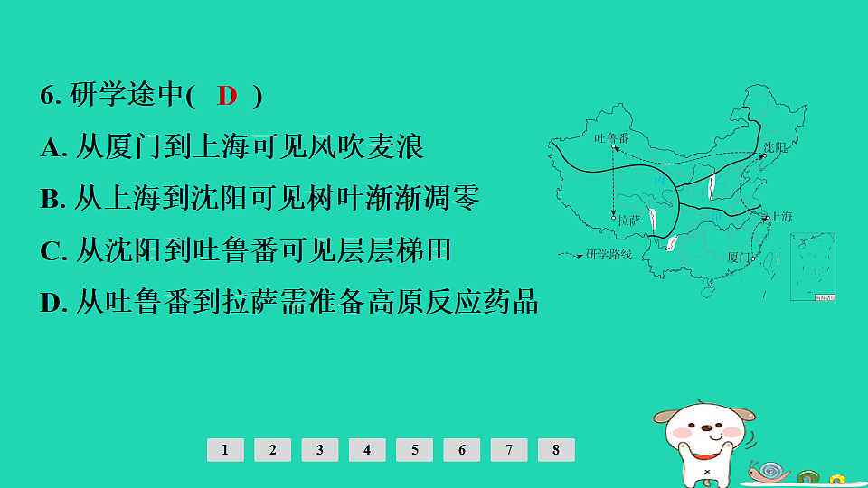17924877第8页