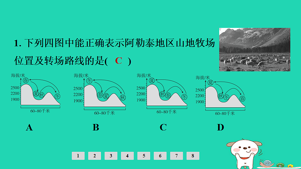 17924880第3页