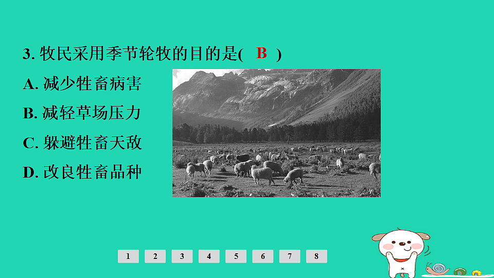 17924880第5页