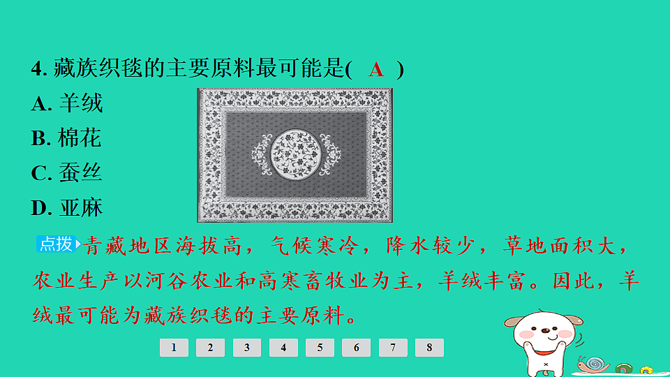 17924881第7页
