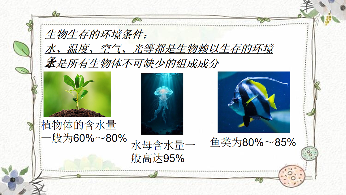 17924952第3页