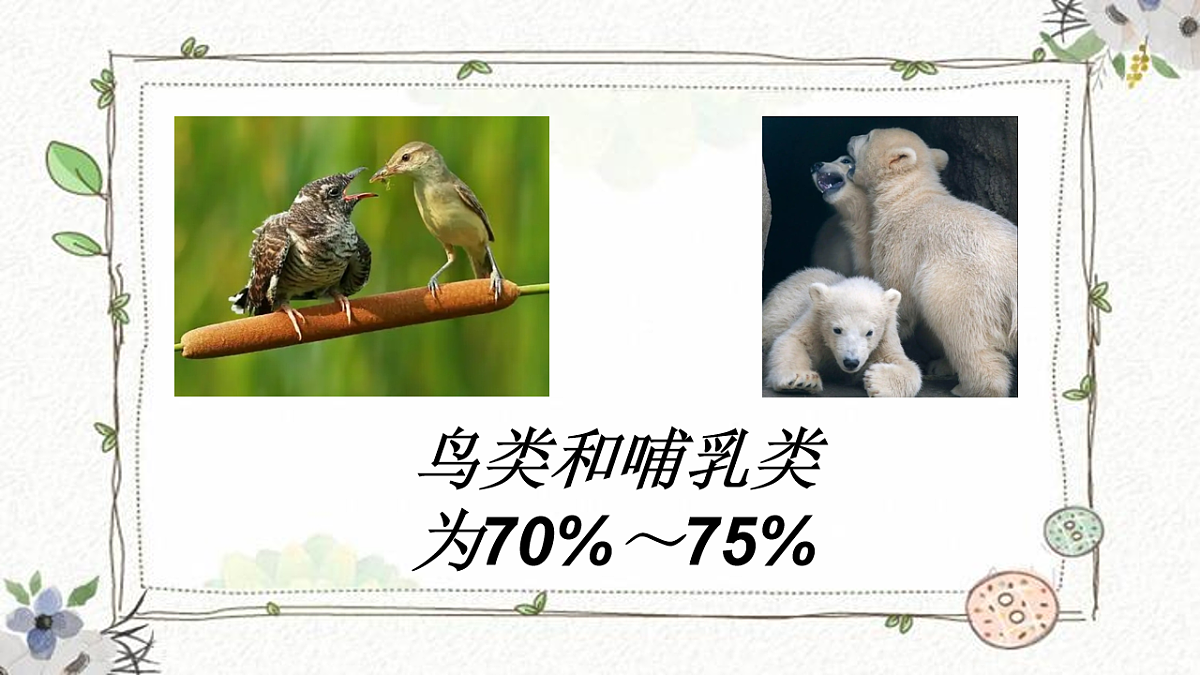 17924952第4页