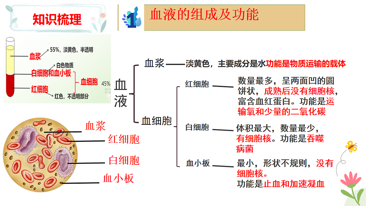 17925025第4页