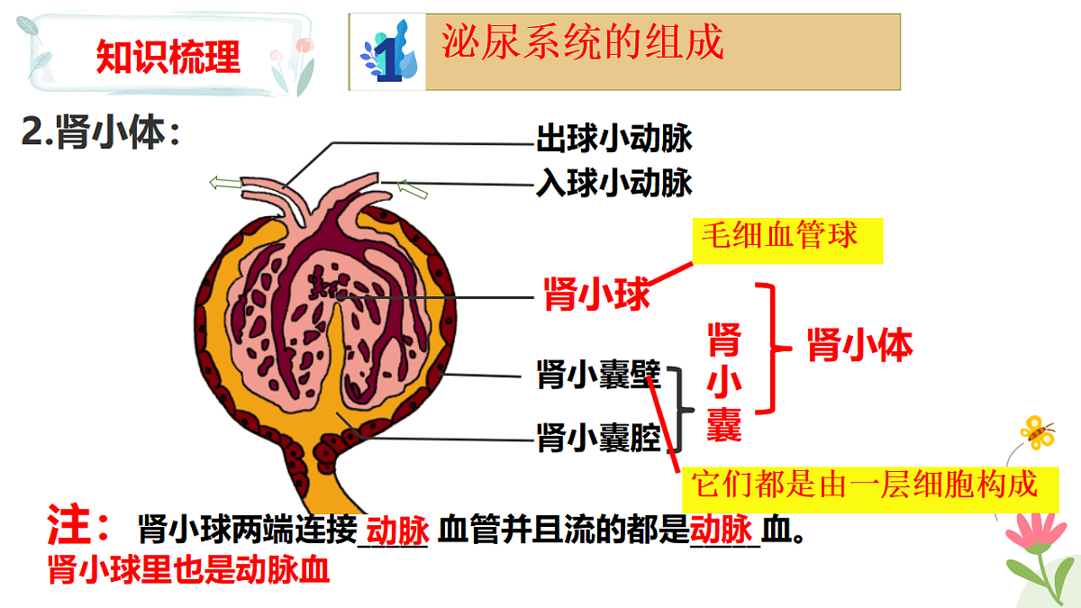 17925079第5页