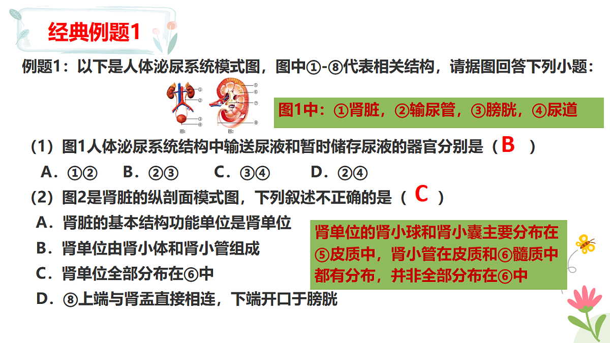 17925079第7页