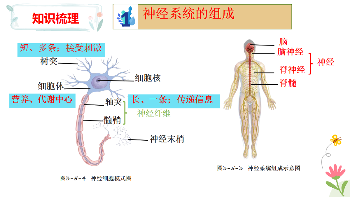 17925219第4页
