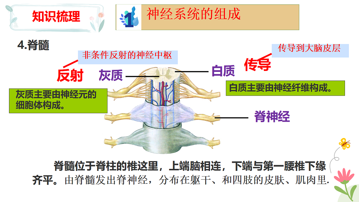 17925219第7页