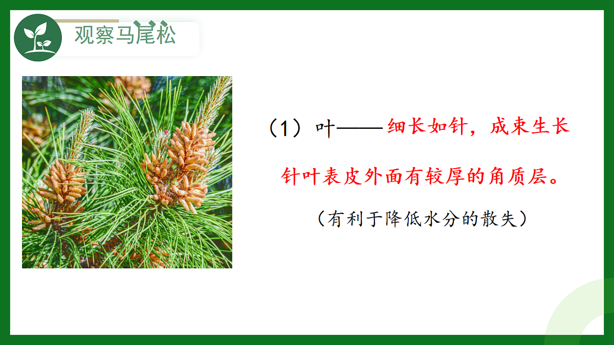 17925515第3页