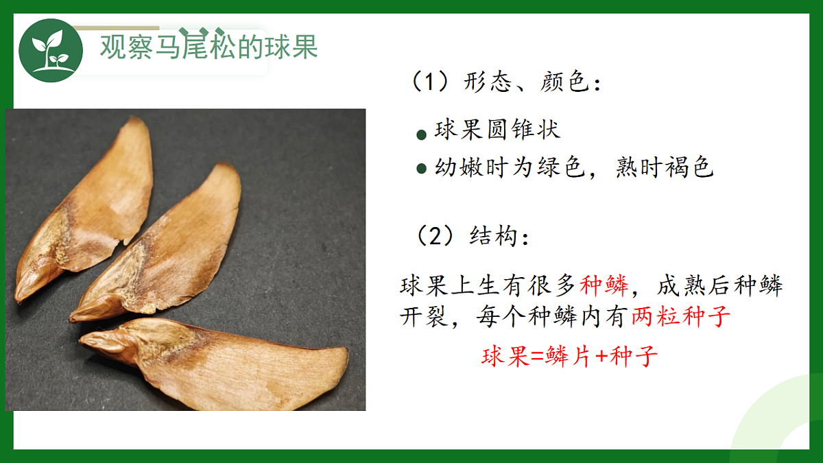 17925515第5页
