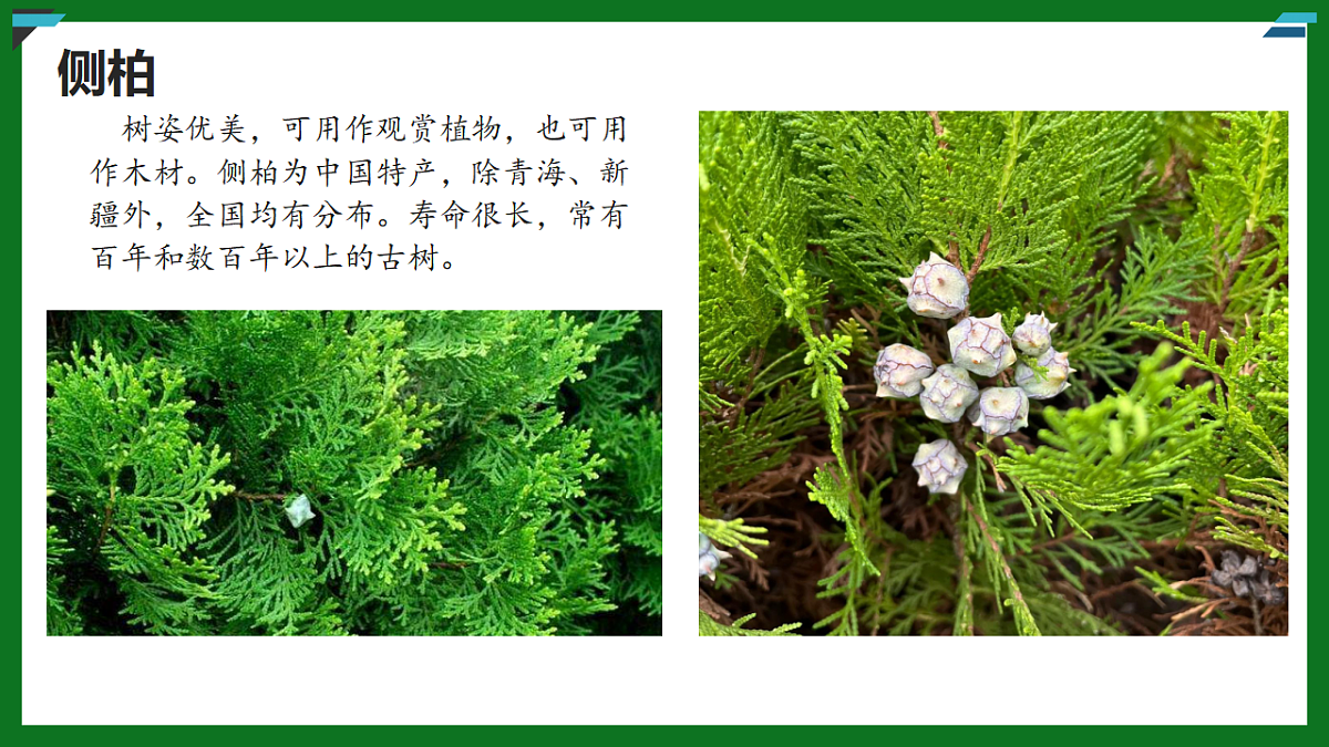 17925515第7页