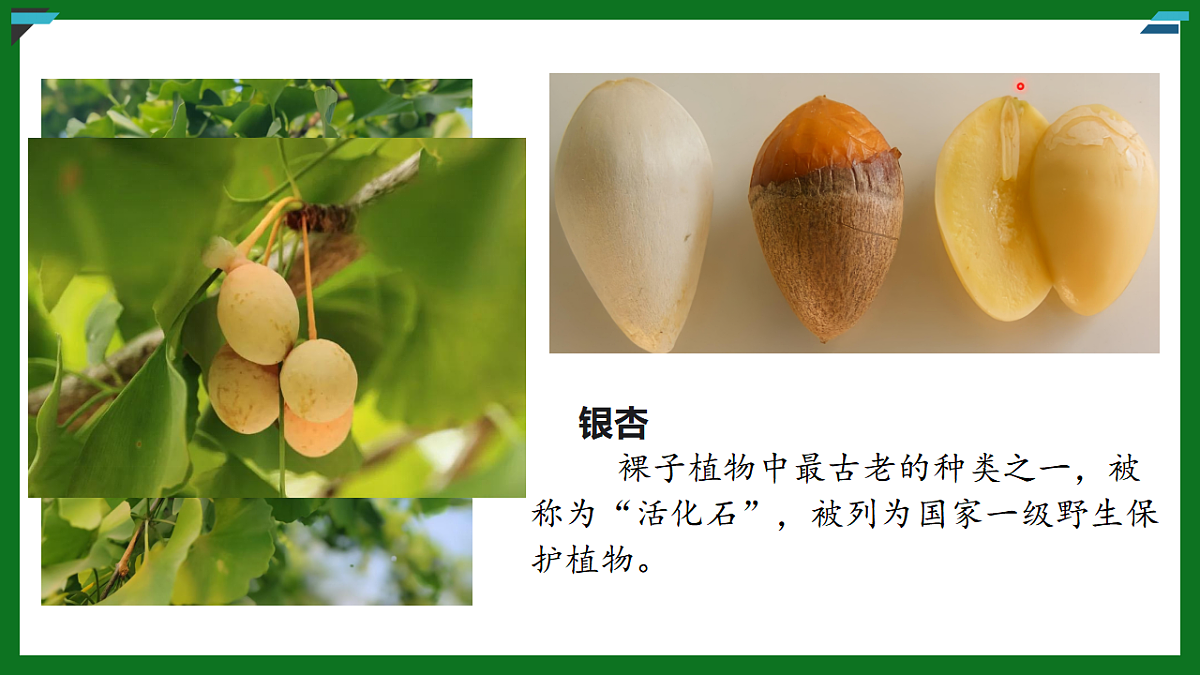 17925515第8页