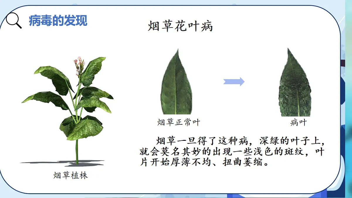 17925614第3页