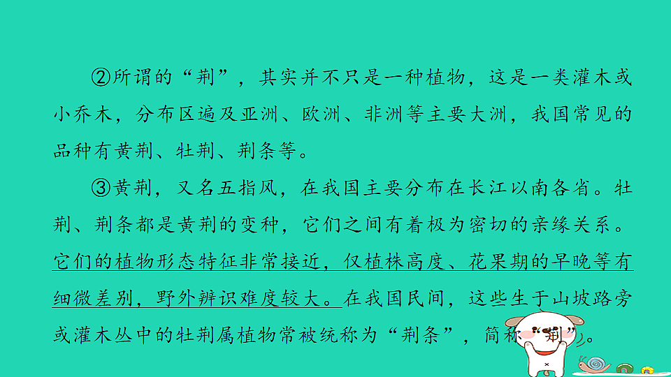 17925840第6页