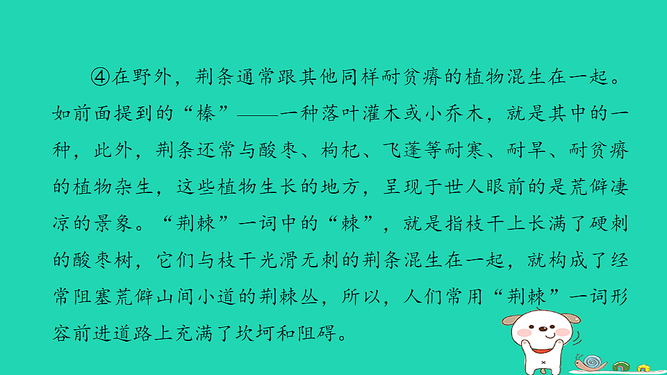 17925840第7页