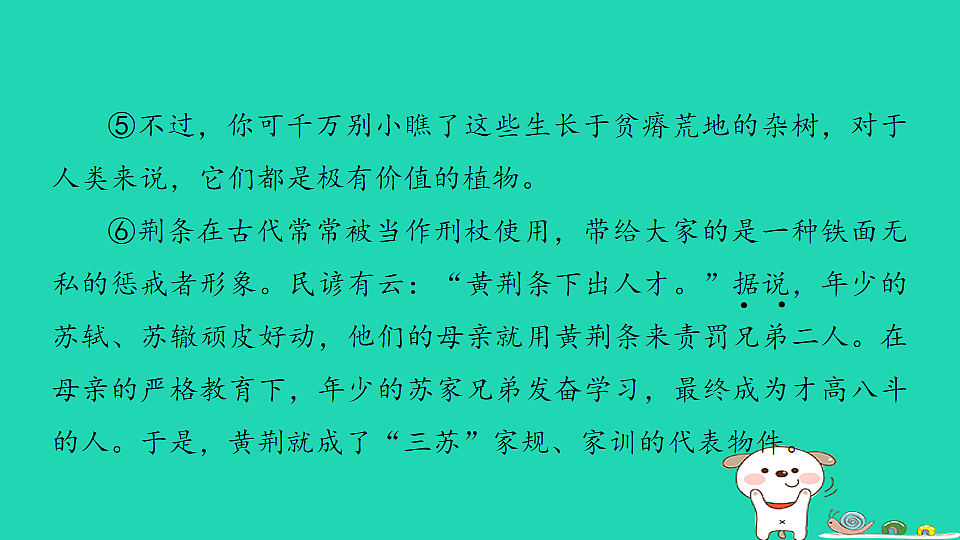 17925840第8页