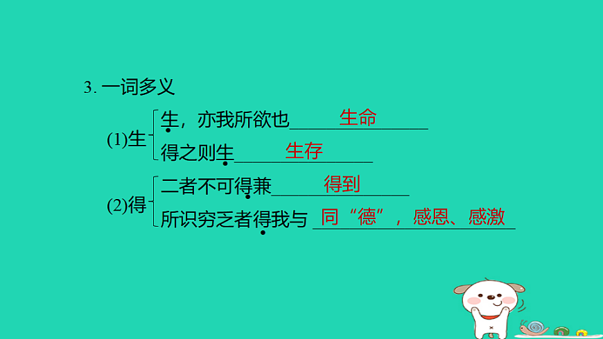 17925855第4页