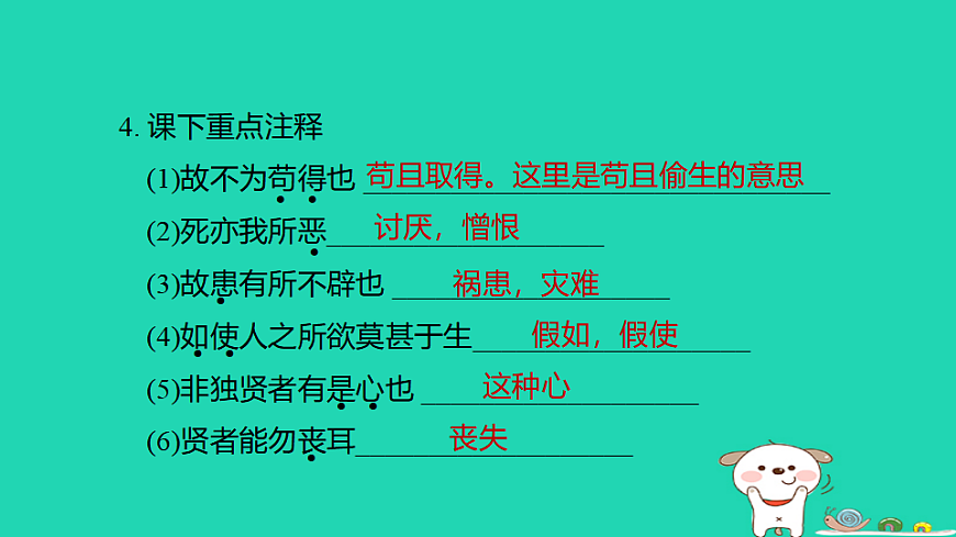 17925855第5页