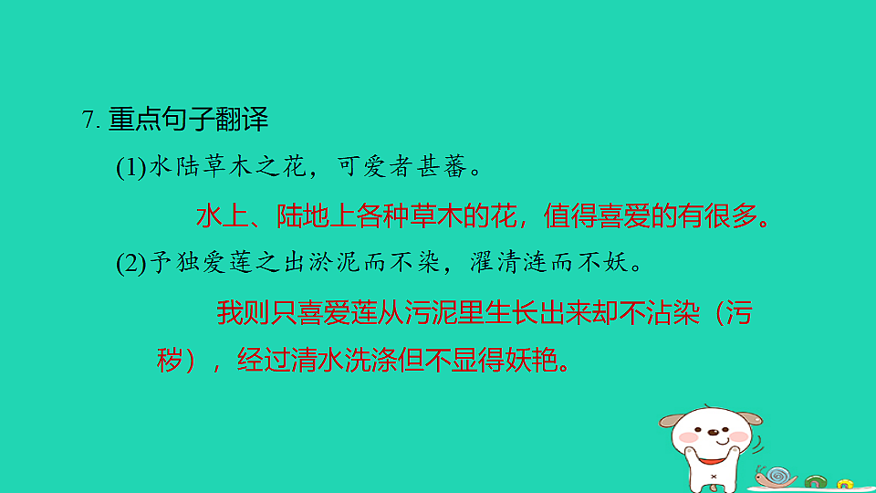 17925874第8页