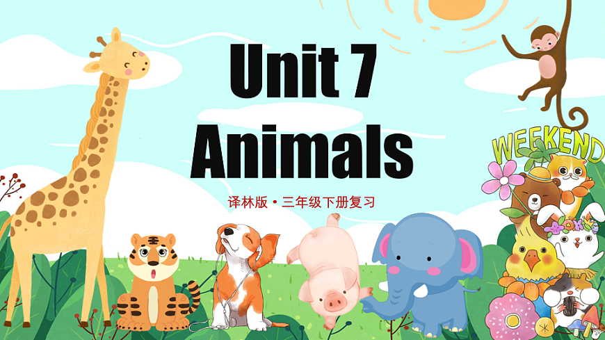 17925988第1页