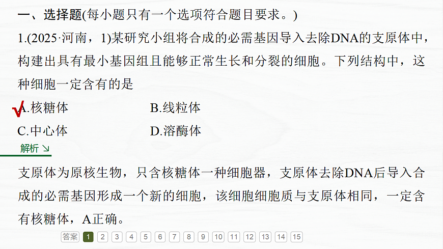 17926284第3页