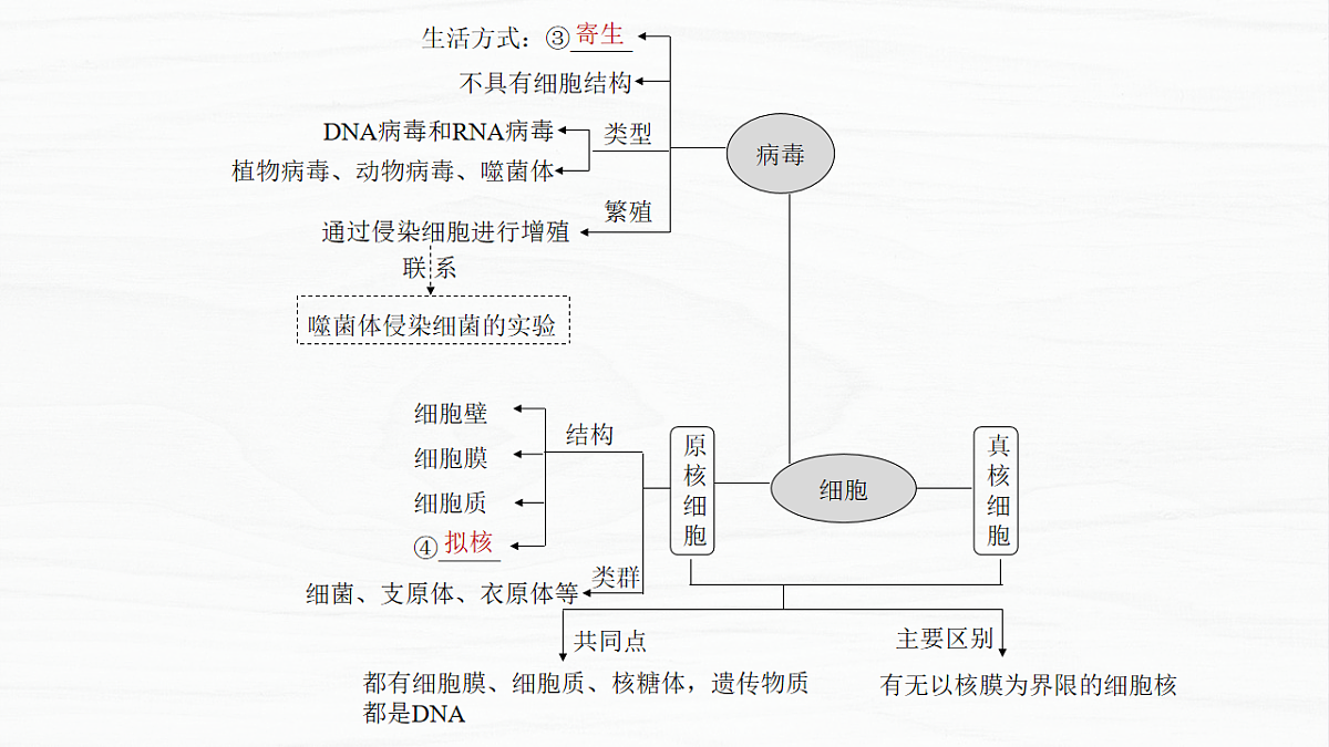 17926285第3页
