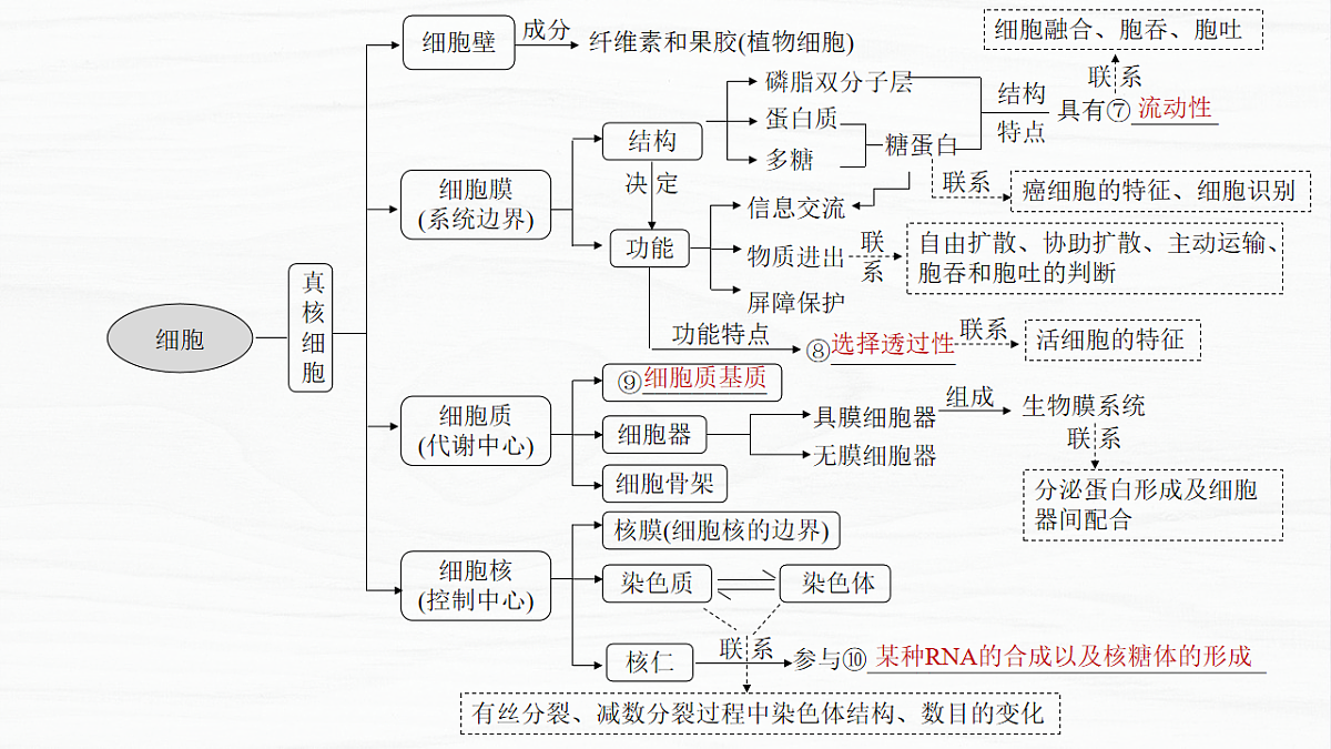 17926285第5页