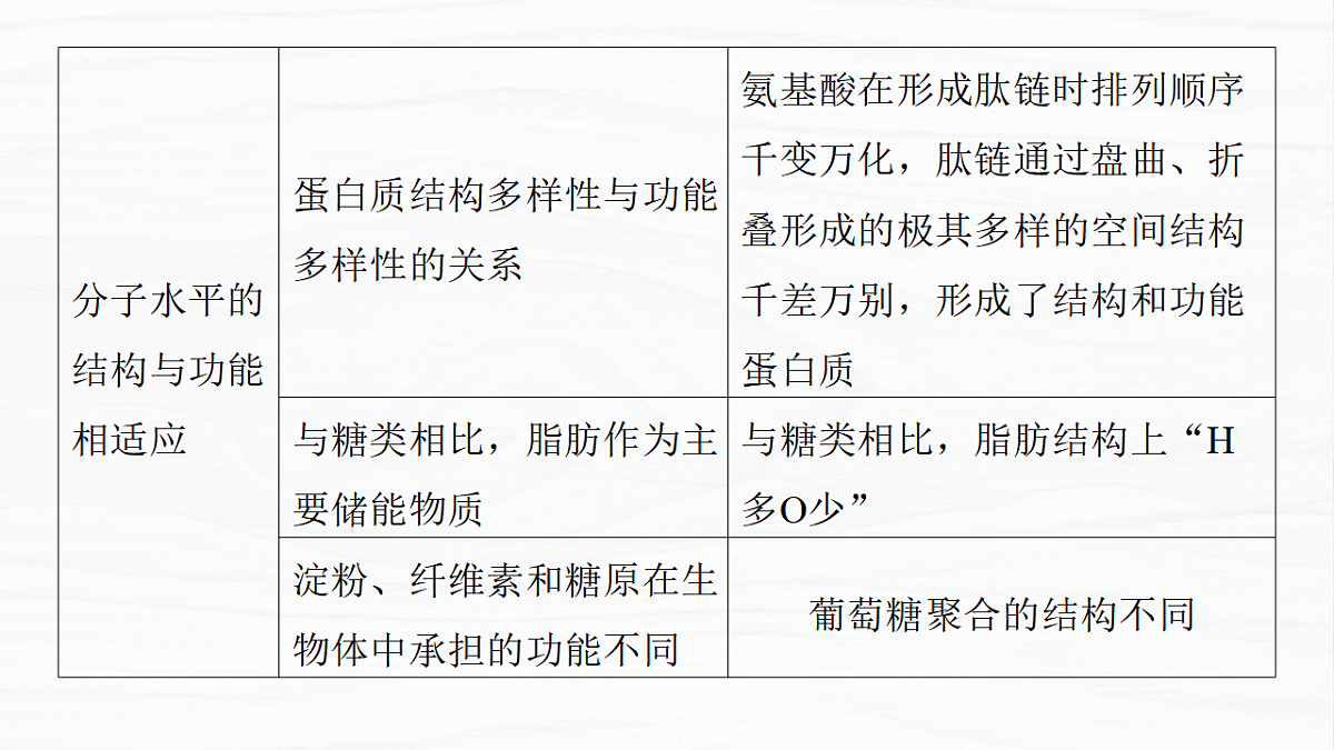 17926286第4页