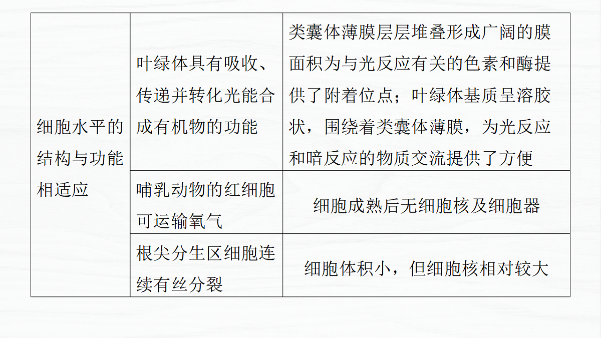 17926286第5页