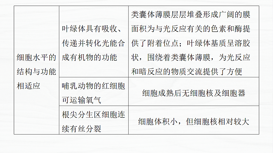 17926286第5页