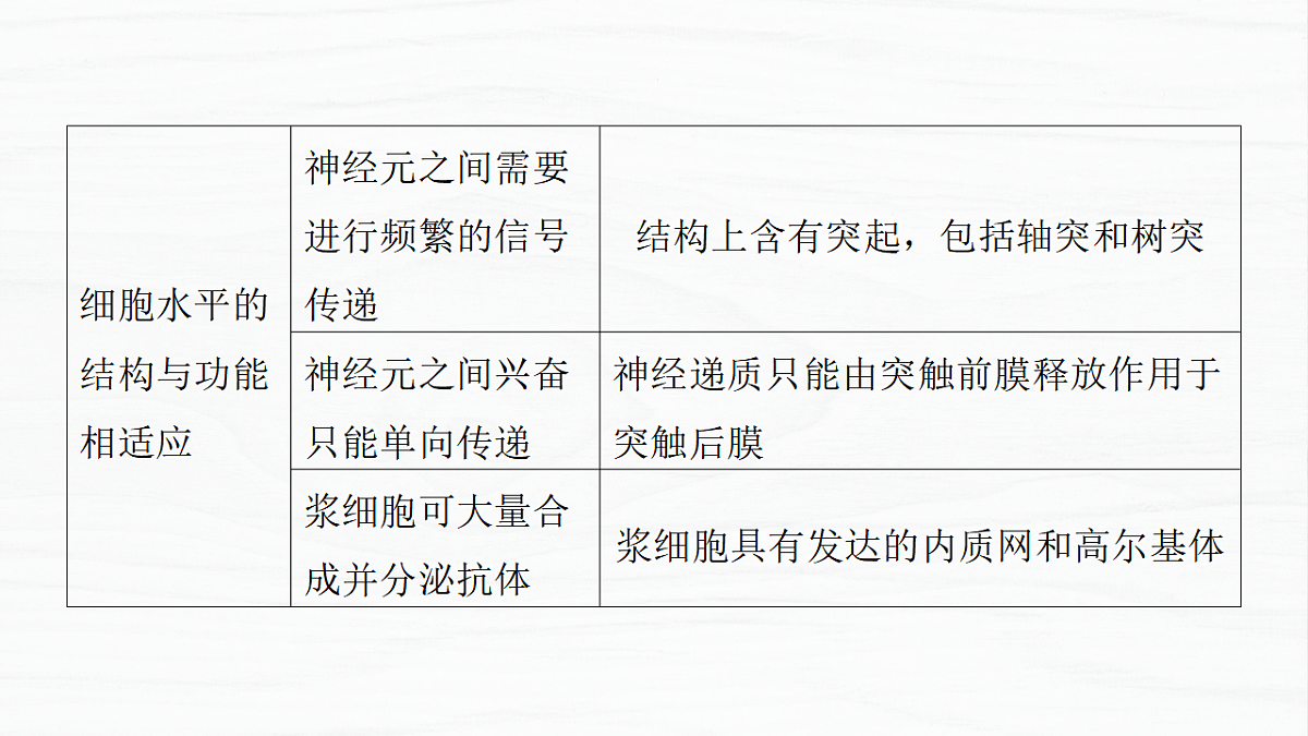 17926286第6页