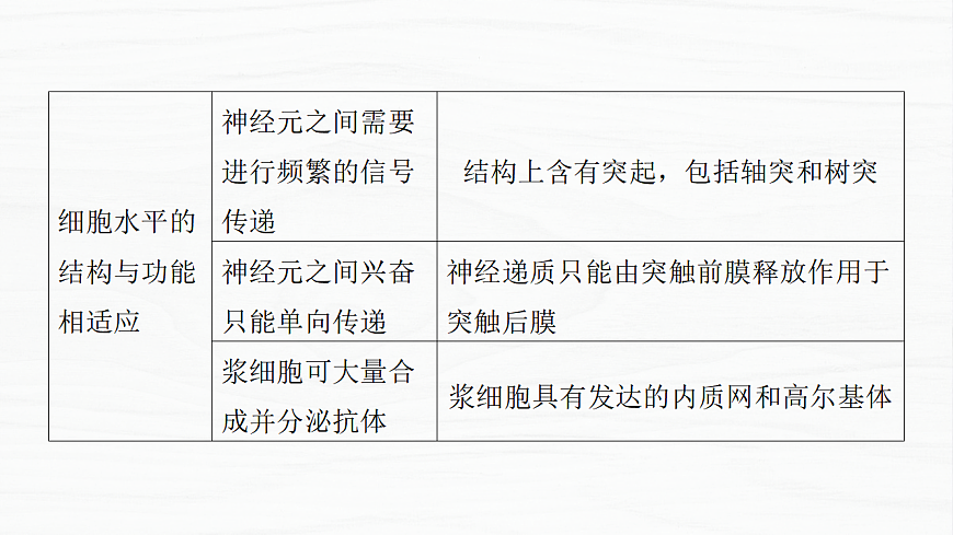 17926286第6页