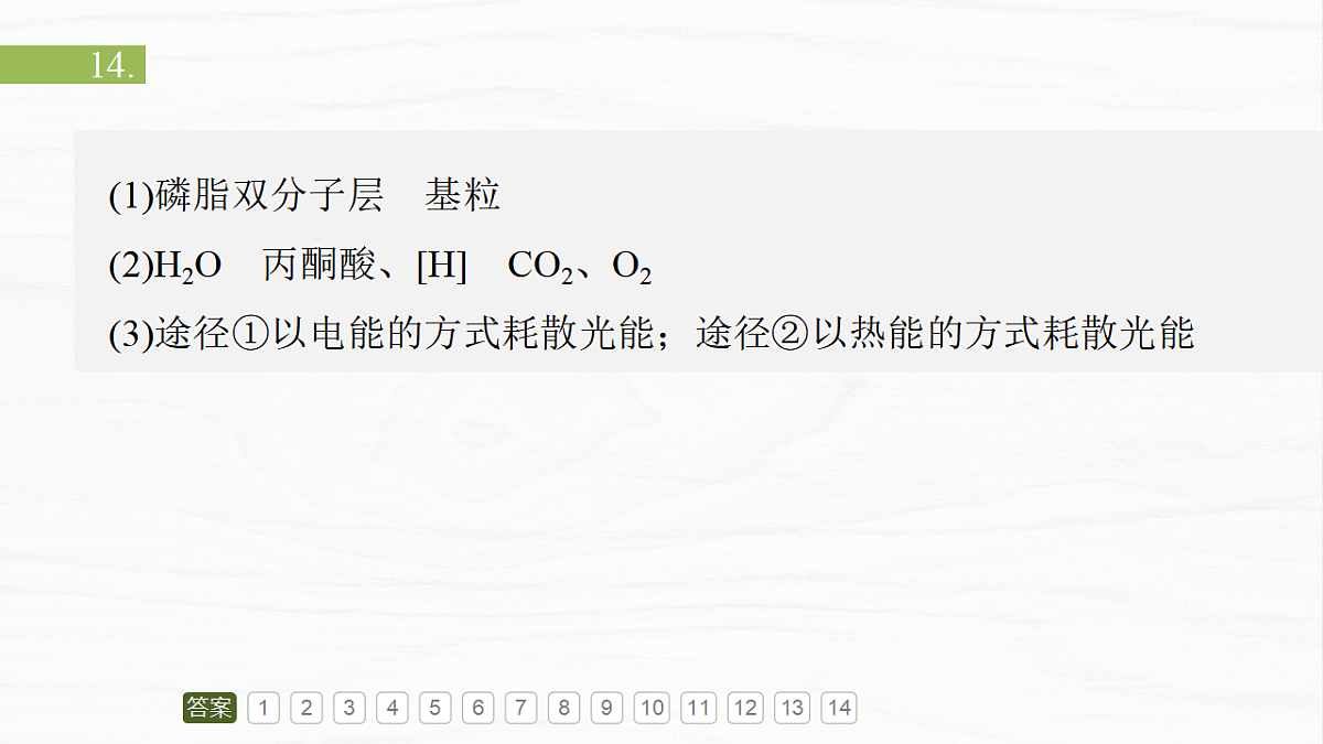 17926289第5页