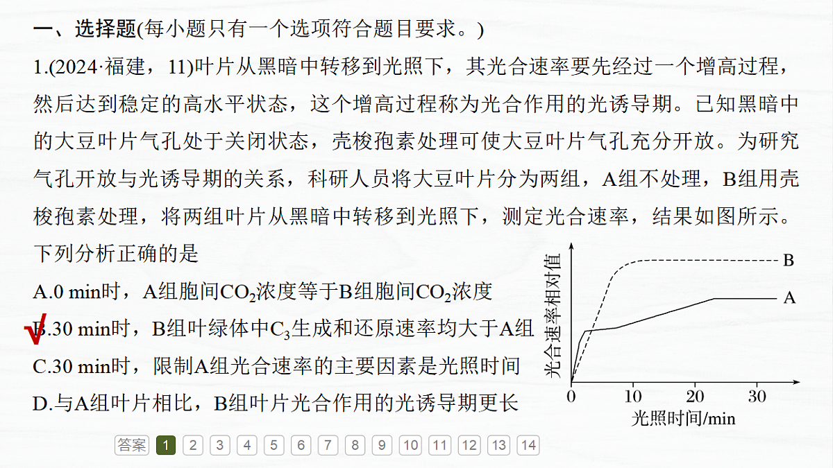 17926289第6页