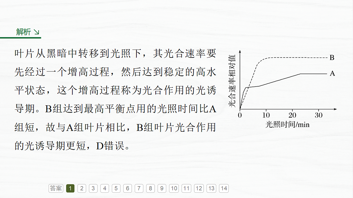 17926289第8页