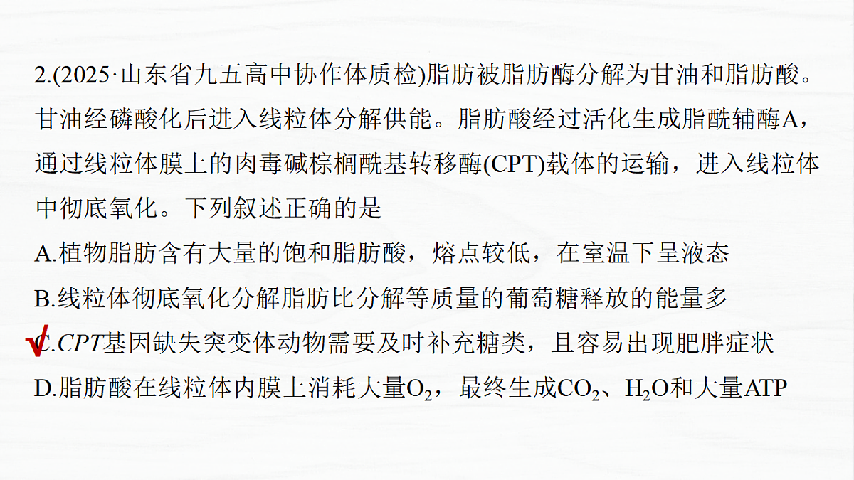 17926292第8页