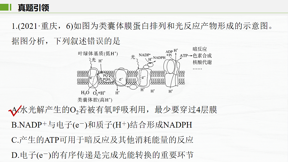 17926293第3页