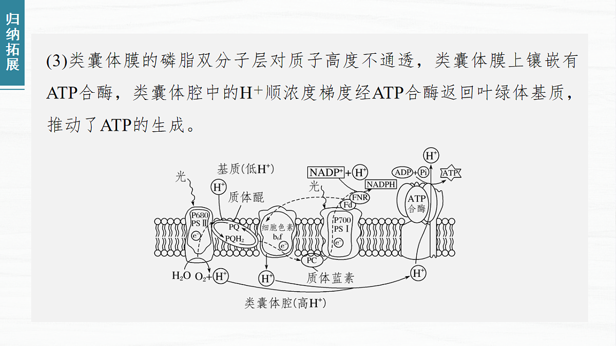 17926293第6页