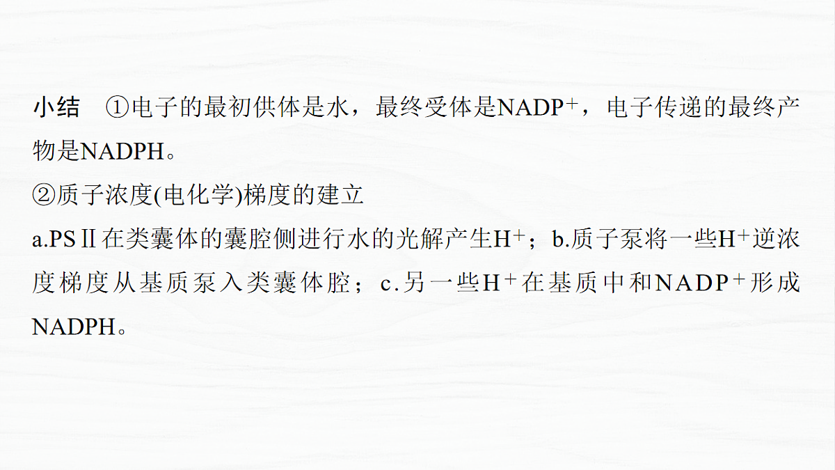17926293第7页