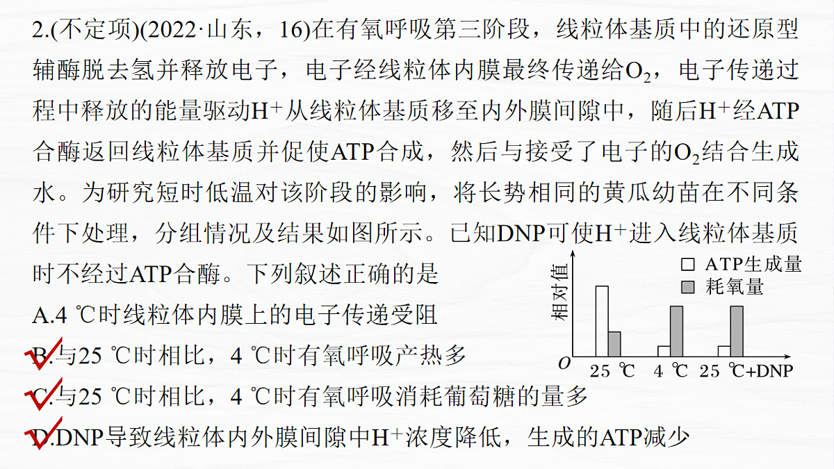 17926293第8页