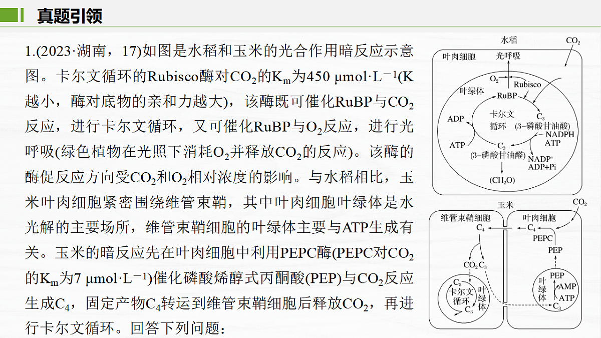 17926294第3页