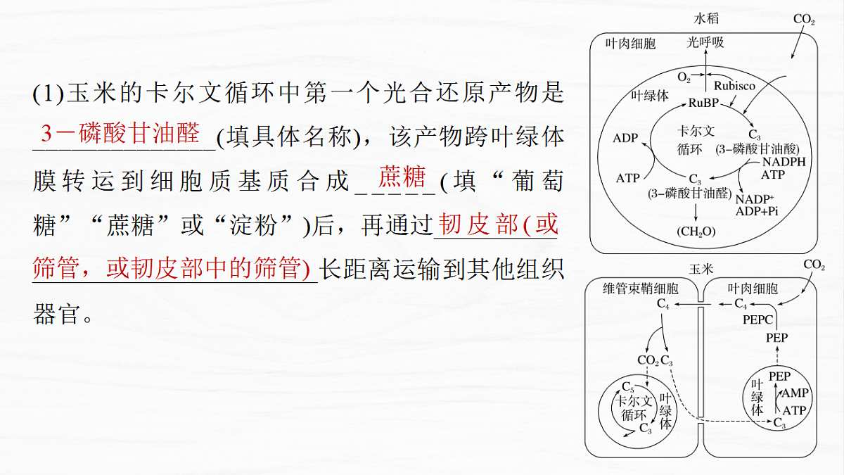 17926294第4页